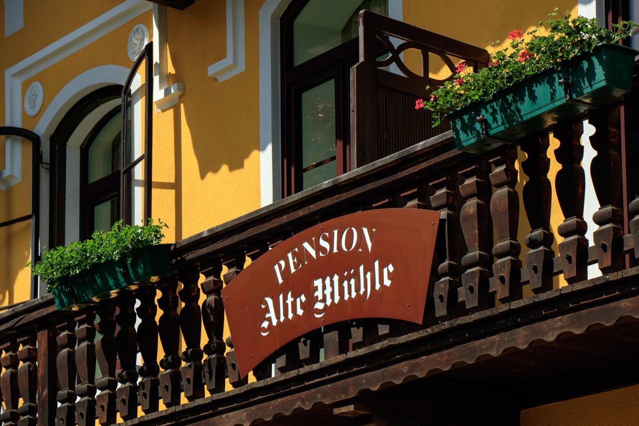 Pension Alte Muehle Gmünd Exterior foto